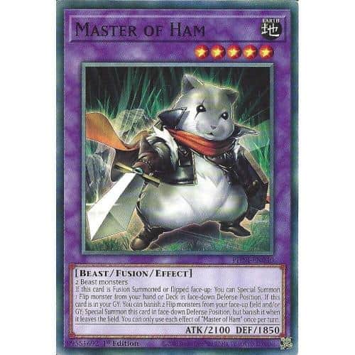PHNI-EN040 Master of Ham 1 PHNI-EN040 Master of Ham